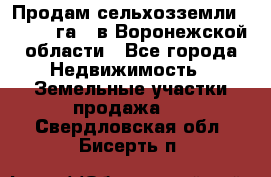 Продам сельхозземли ( 6 000 га ) в Воронежской области - Все города Недвижимость » Земельные участки продажа   . Свердловская обл.,Бисерть п.